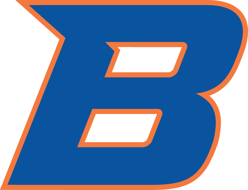 Boise State Broncos 2013-Pres Secondary Logo diy fabric transfer